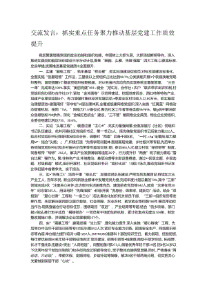 交流发言：抓实重点任务 聚力推动基层党建工作质效提升.docx