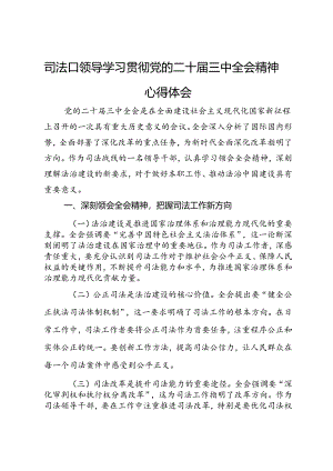 司法口领导学习贯彻党的二十届三中全会精神心得体会.docx