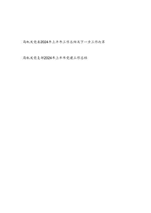 局机关党委及党支部2024年上半年（党建）工作总结及下一步工作打算2篇.docx