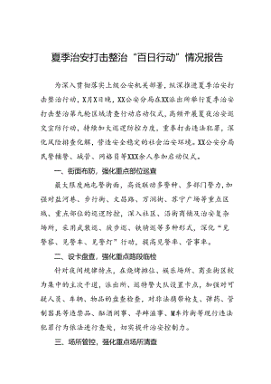 公安2024年夏季治安打击整治情况报告6篇.docx