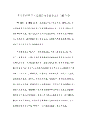 青年干部学习《必须坚持自信自立》心得体会.docx