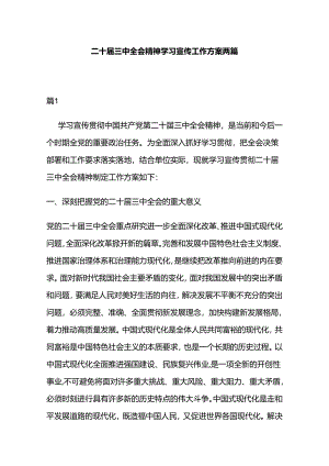 二十届三中全会精神学习宣传工作方案两篇.docx