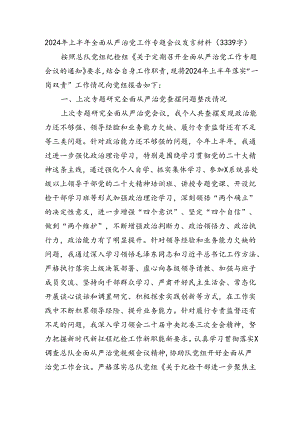2024年上半年全面从严治党工作专题会议发言材料（3339字）.docx