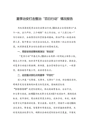 十八篇公安2024年推进夏季治安打击整治行动工作汇报.docx