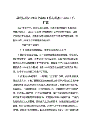 县司法局2024年上半年工作总结和下半年工作打算.docx