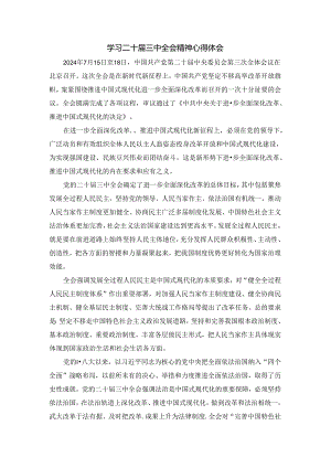 学习二十届三中全会精神心得体会05.docx