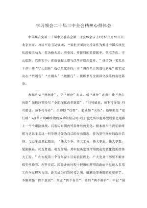 学习领会二十届三中全会精神心得体会.docx