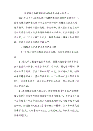 国家 统计局XX调查队2024年上半年工作总结.docx