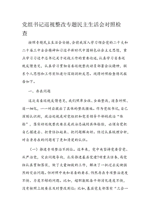 党组书记巡视整改专题民主生活会对照检查.docx