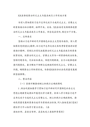 xx县推进整治形式主义为基层减负工作实施方案.docx