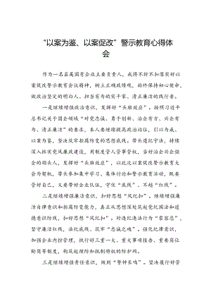 以案为鉴以案促改警示教育心得体会三篇.docx