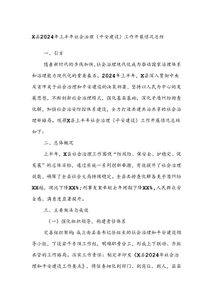 X县2024年上半年社会治理（平安建设）工作开展情况总结.docx