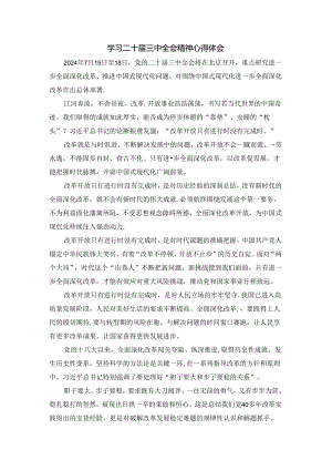 2024学习二十届三中全会精神心得体会.docx