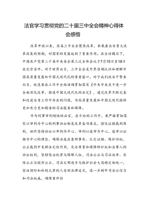 法官学习贯彻党的二十届三中全会精神心得体会感悟.docx