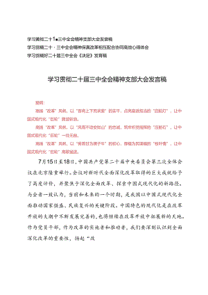 3篇 2024年学习贯彻二十届三中全会精神支部大会发言稿+二十届三中全会《决定》发言稿.docx