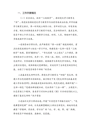 2024年党纪集中教育工作自查报告含成效亮点共10篇.docx