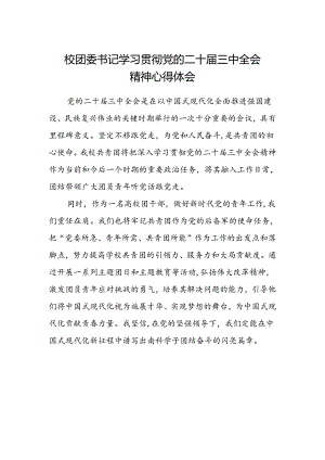 校团委书记学习贯彻党的二十届三中全会精神心得体会.docx