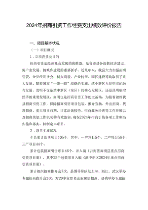 2024年招商引资工作经费支出绩效评价报告.docx