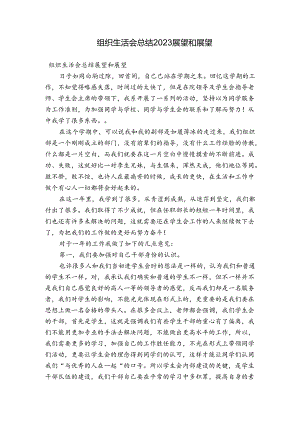 组织生活会总结2023展望和展望.docx