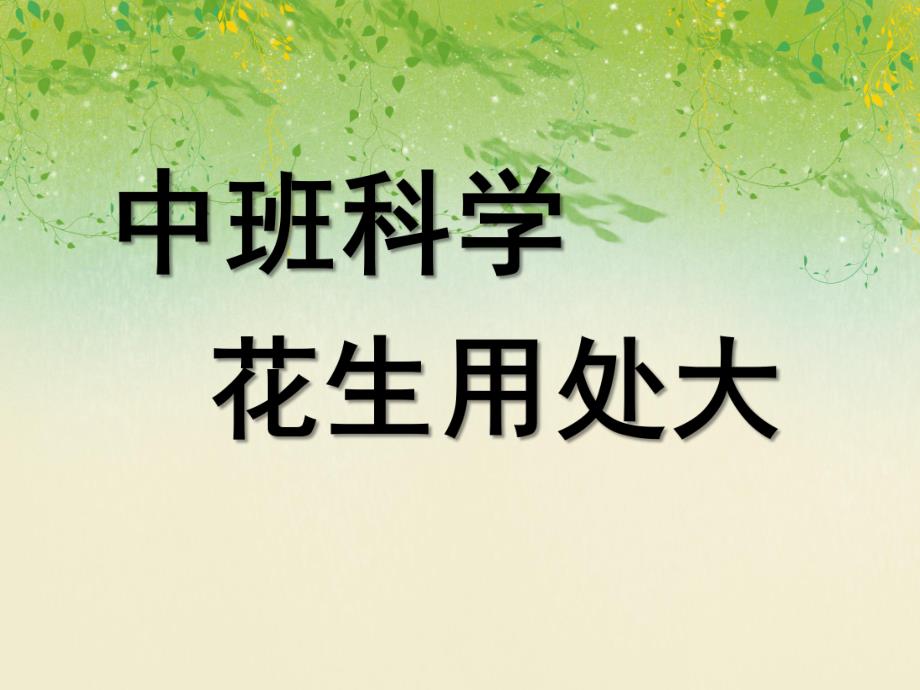 中班科学《花生用处大》PPT课件花生用处大.pptx_第1页