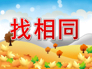 中班数学活动《找相同》PPT课件教案PPT课件.pptx
