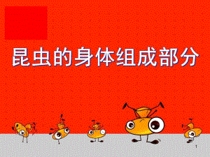 中班主题《昆虫的身体组成部分》PPT课件幼儿园昆虫主题.pptx
