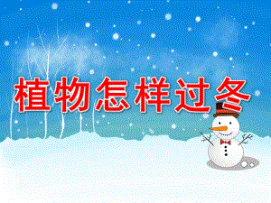 中班科学《植物过冬》PPT课件教案PPT课件.pptx