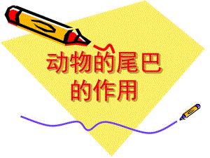 中班《动物的尾巴的作用》PPT课件教案动物的尾巴的作用.pptx