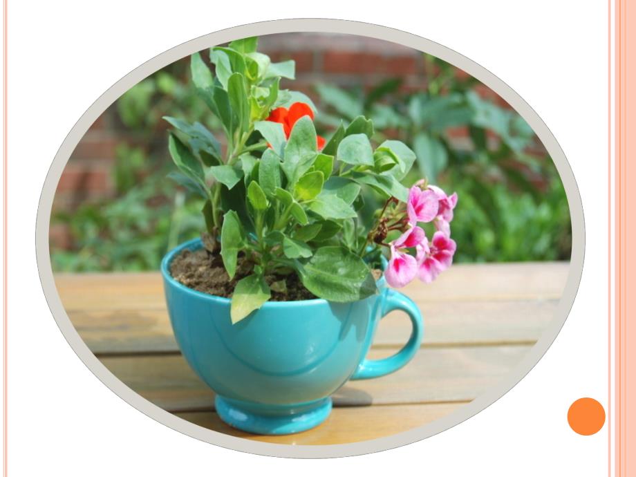 中班绘画《花盆》PPT课件教案中班绘画花盆.pptx_第2页