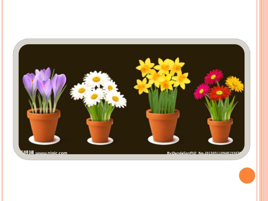 中班绘画《花盆》PPT课件教案中班绘画花盆.pptx_第3页