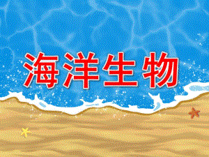 中班科学《海洋生物》PPT课件教案海洋生物图片-幼儿园.pptx