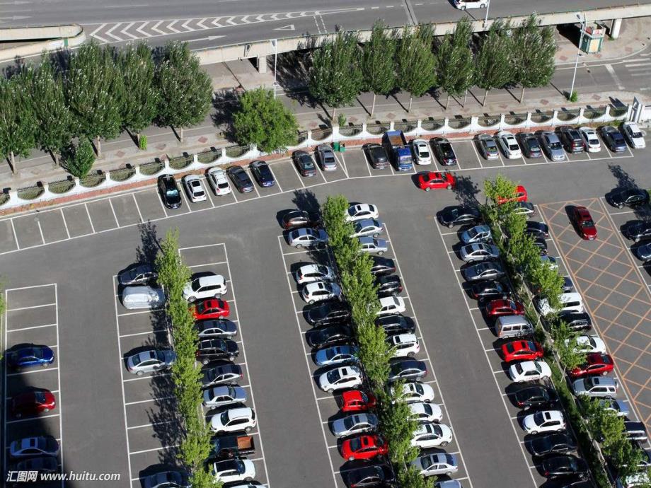 中班奏乐《会飞的青蛙》PPT课件教案配乐中班奏乐 会飞的青蛙 稿.pptx_第3页