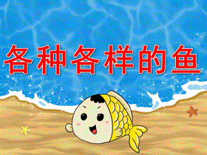 中班主题《各种各样的鱼》PPT课件教案PPT课件.pptx