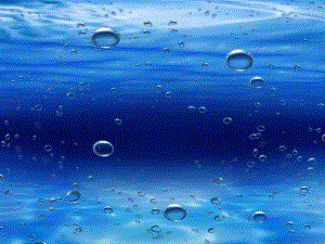 U369中班美术《海底世界》中班美术《海底世界》课件.pptx