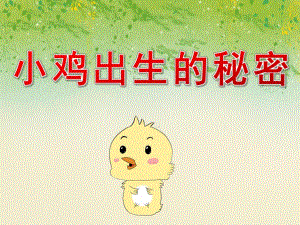 中班科学《小鸡出生的秘密》PPT课件教案PPT课件.pptx