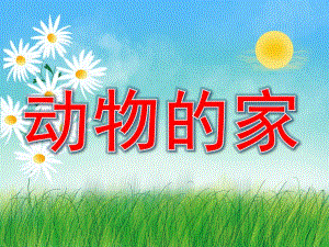 中班科学《动物的家》PPT课件教案PPT课件.pptx