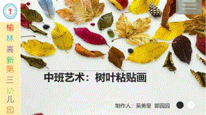 w57中班艺术《树叶粘贴画》微课件.pptx