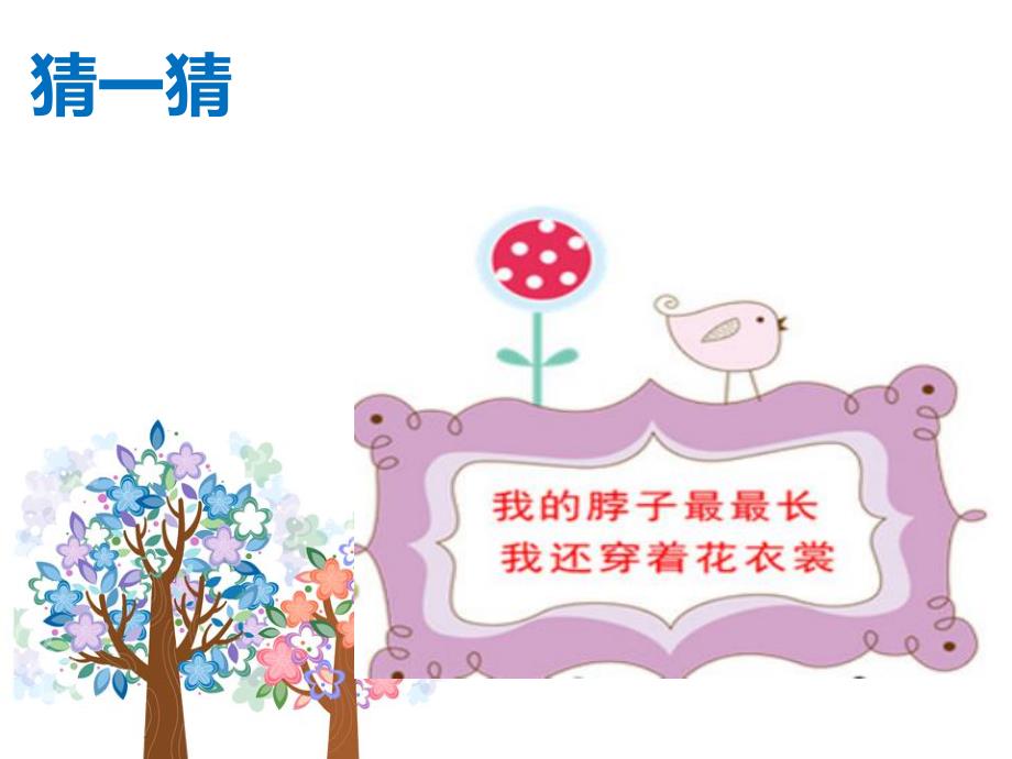中班《可爱的动物》PPT课件教案7-可爱的动物PPT.pptx_第3页