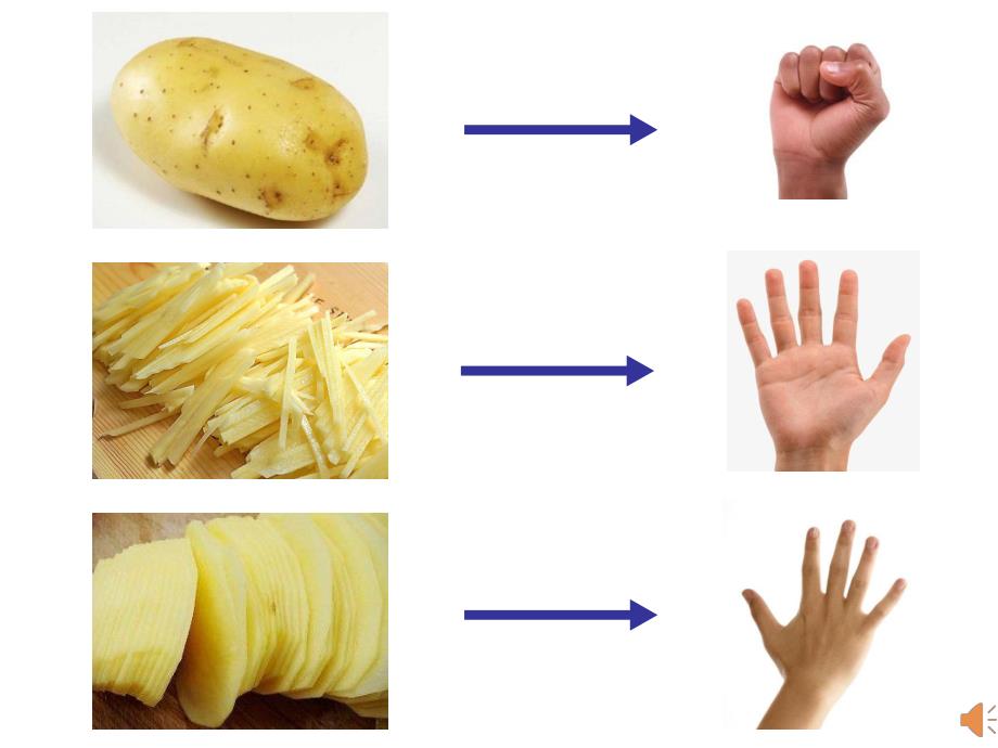 Y990-大班音乐奏乐《土豆一家》PPT课件.pptx_第2页