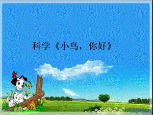 中班科学《小鸟你好》版本2课件.pptx