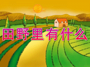 中班社会《田野里有什么》PPT课件教案PPT课件.pptx