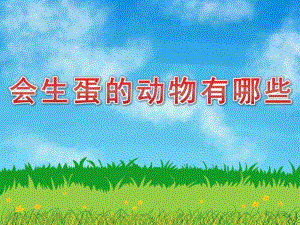 中班科学《会生蛋的动物有哪些》PPT课件会生蛋的动物有哪些.pptx