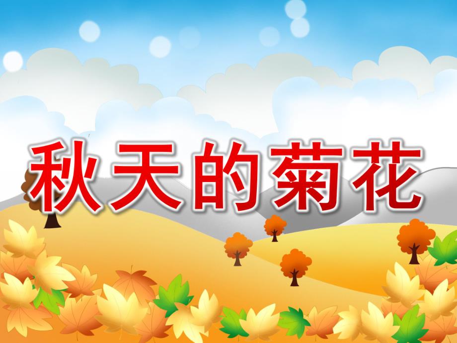 中班科学《天的菊花》PPT课件教案天的菊花.pptx_第1页