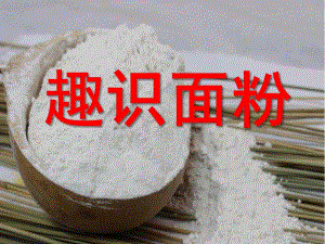 中班科学《趣识面粉》PPT课件教案幼儿园中班科学-《趣识面粉》.pptx