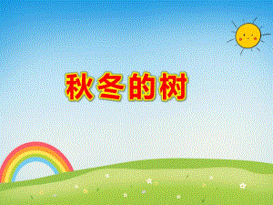 中班科学《冬的树》PPT课件教案.pptx