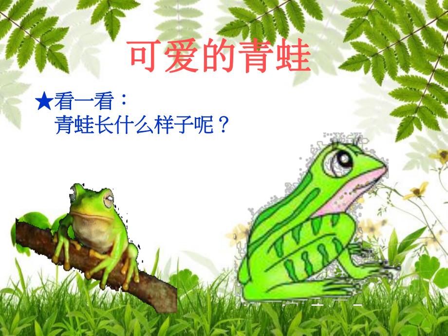 中班科学《可爱的青蛙》PPT课件可爱的青蛙.pptx_第3页