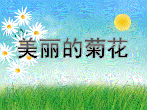 中班《美丽的菊花》PPT课件教案中班美丽的菊花.pptx