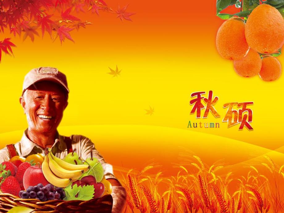 中班科学《农作物》PPT课件中班科学农作物.pptx_第2页