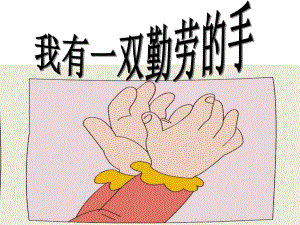 中班科学《我有一双小小手》PPT课件教案我有一双小小手课件.pptx