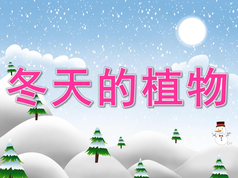 中班科学《冬天的植物》PPT课件教案PPT课件.pptx_第1页